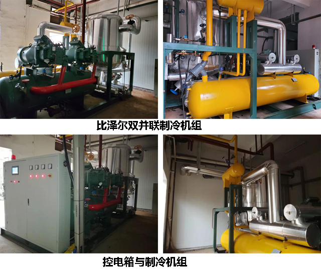 蕭山紅墾生豬屠宰場白條肉自動線速凍庫項(xiàng)目工