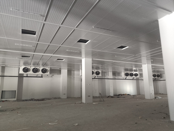 存200噸貨需要多大面積冷庫？造價多少？