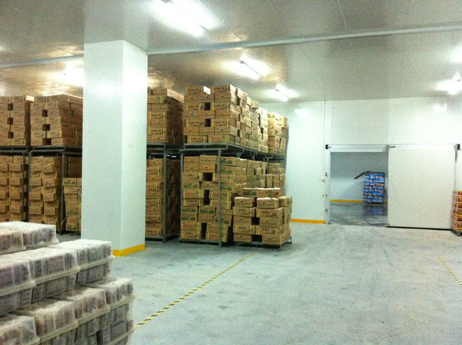 建造冷庫多少錢？影響冷庫工程造價的因素